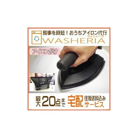 fujicleaning_washeria-iron.jpg